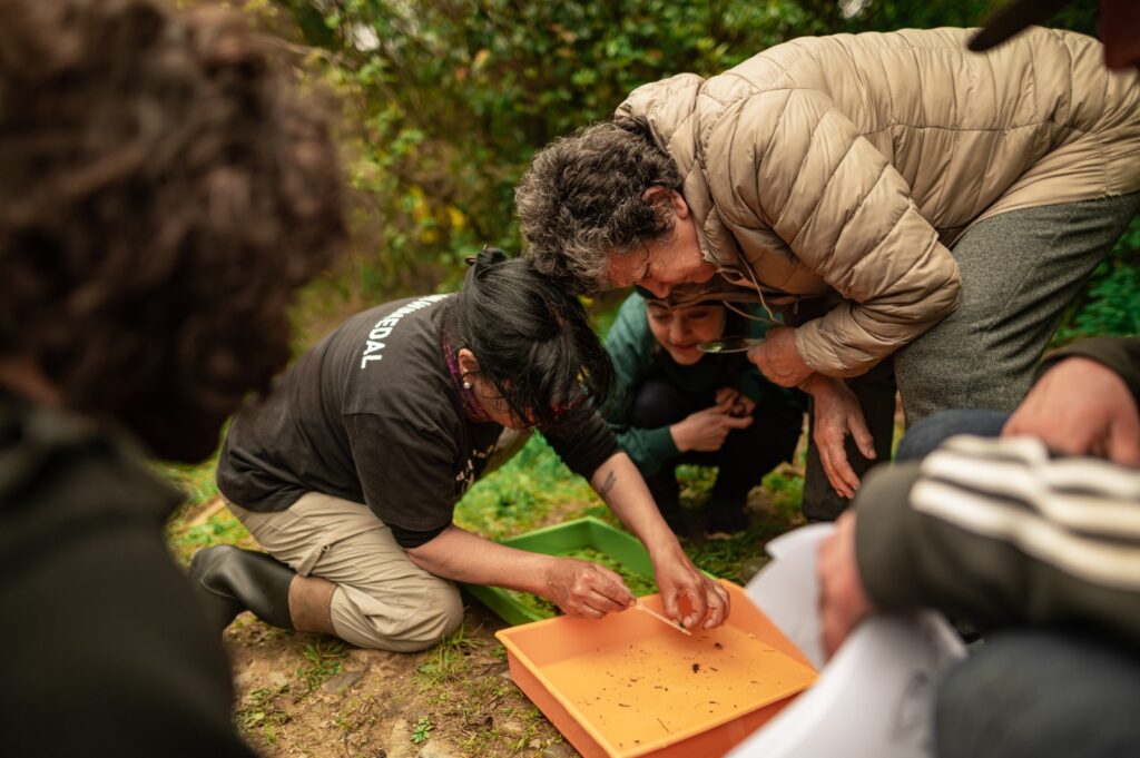 Monitoreo Macroinvertebrados